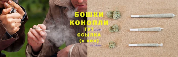 стаф Михайлов