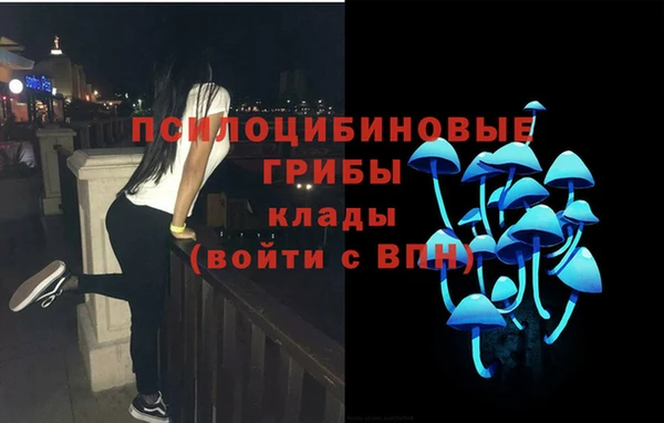 спайс Михайловск